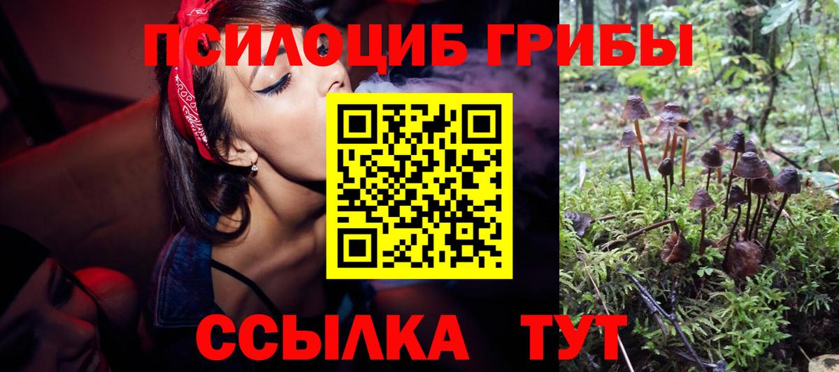 Галлюциногенные грибы Cubensis  Вход с VPN  Касимов 